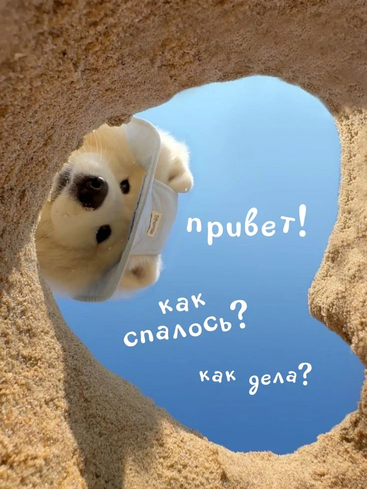 https://max.ru/channel_videopozitiv