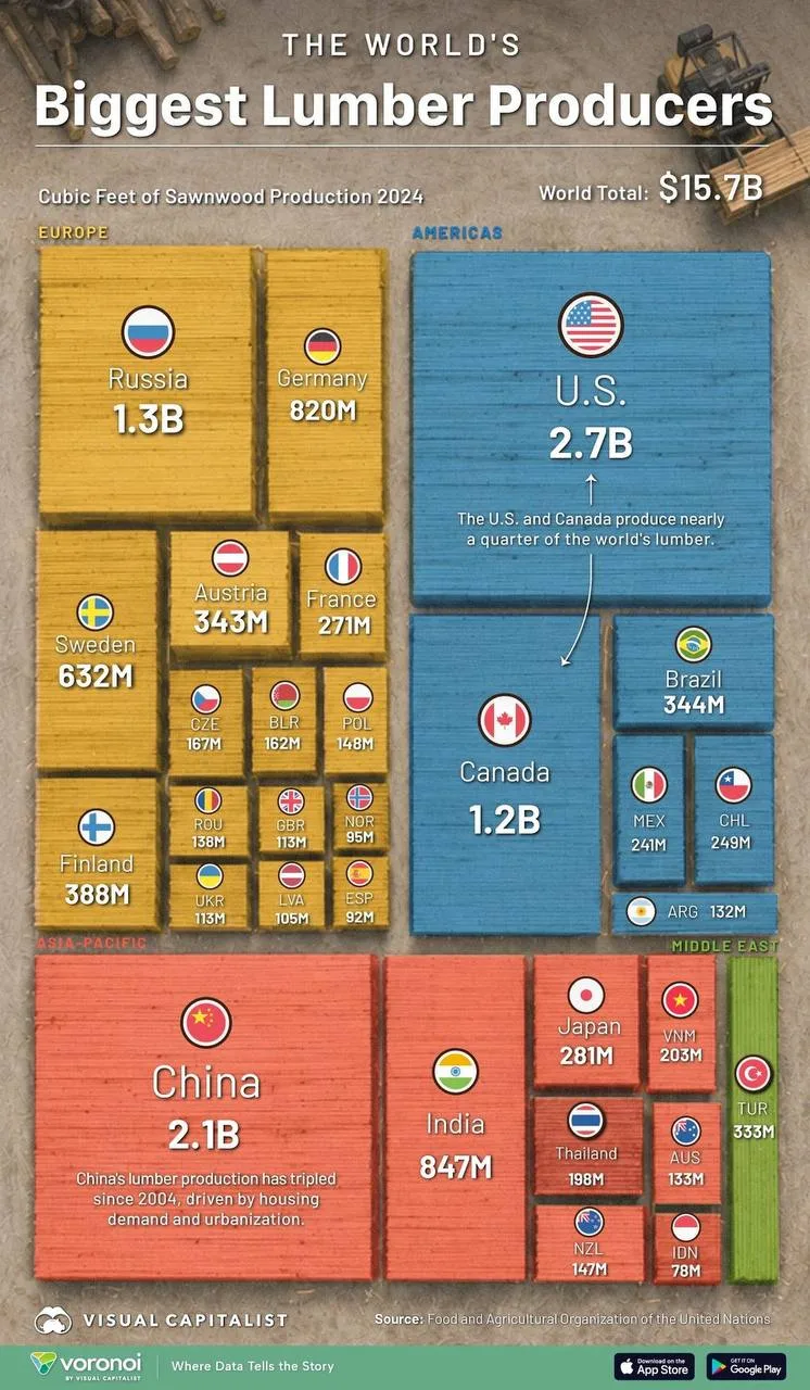 Россия на третьем месте по производству древесины с показателем в 1,3 млрд кубических футов (~36,8 м