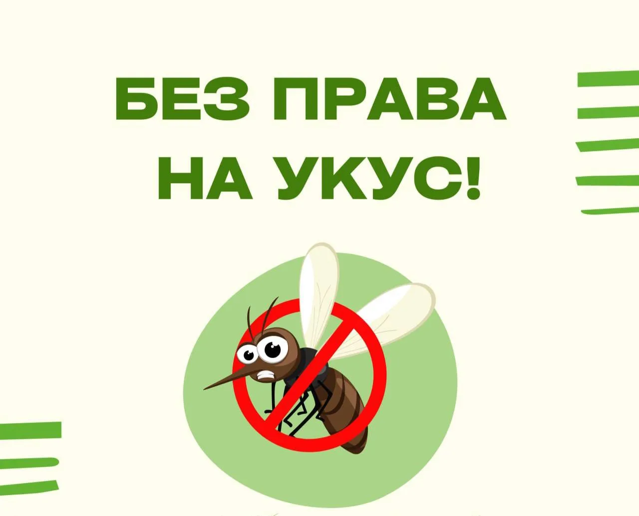 Ни один комар не пройдет!