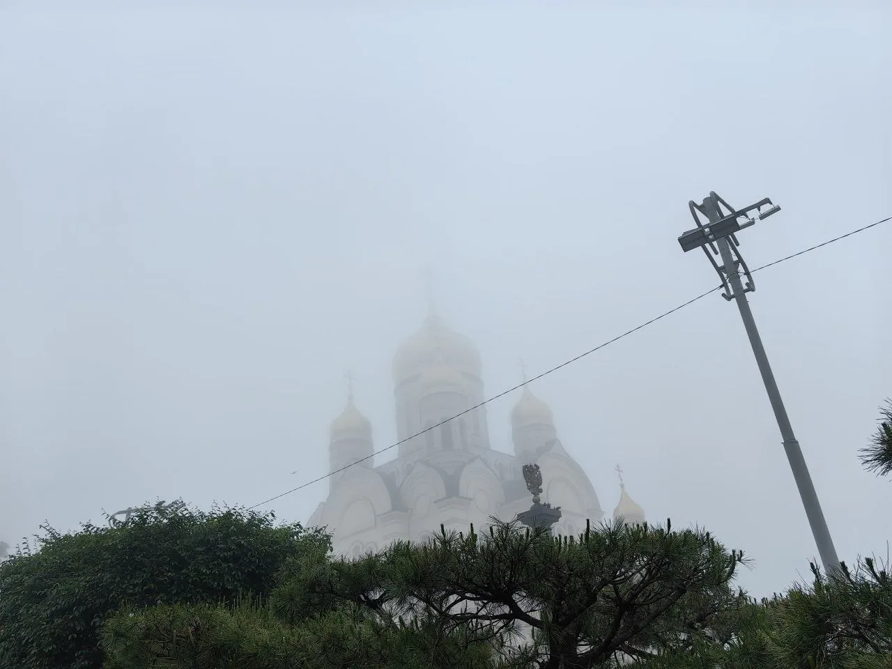 Всем доброго утра!)
Владивосток 19.06

➡️ Если плохо грузятся посты в Телеграм, то мы дублируем их в