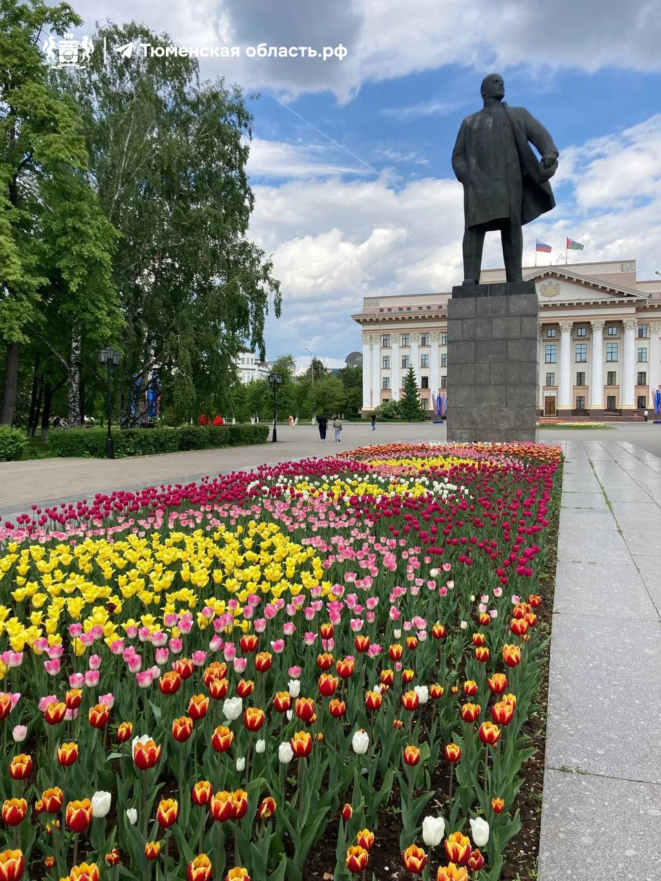 🌷 Море из Тюльпанов в Тюмени!   Возле памятника В.И.Ленину на Республики высадили такую красоту! Теп