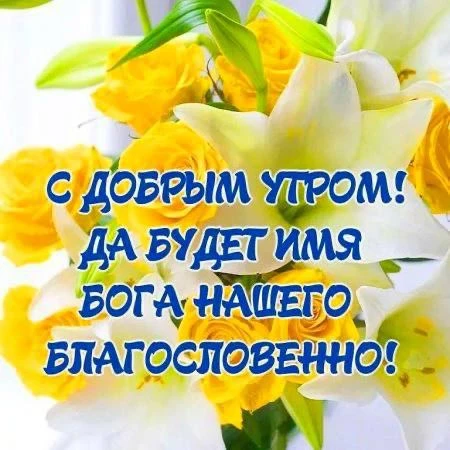 🙏Божьей помощи во всех ваших