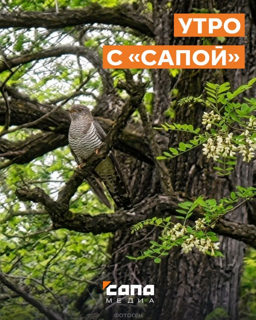Информация, которая может тебе пригодиться   🔸 Сегодня во Владикавказе с 10.00 до 16.00 запланирован
