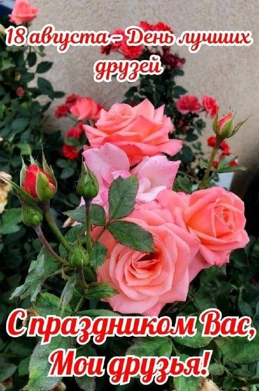 🌼Прикольные открытки