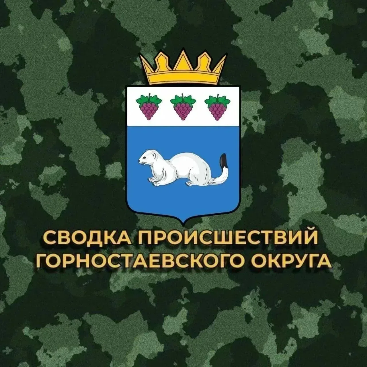 🚨 Происшествия Горностаевского муниципального округа

⚡️ За прошедшие сутки зафиксировано 39 обстре