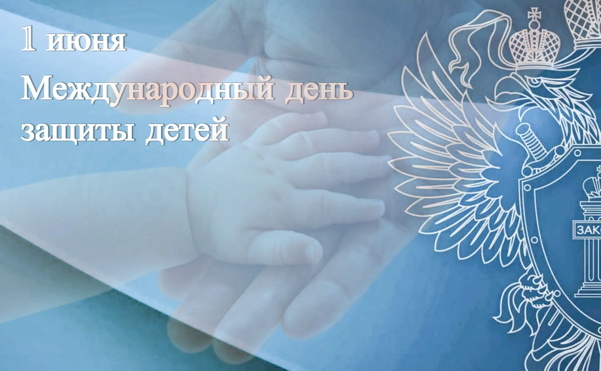 Одним из приоритетных направлений деятельности органов прокуратуры является защита прав...