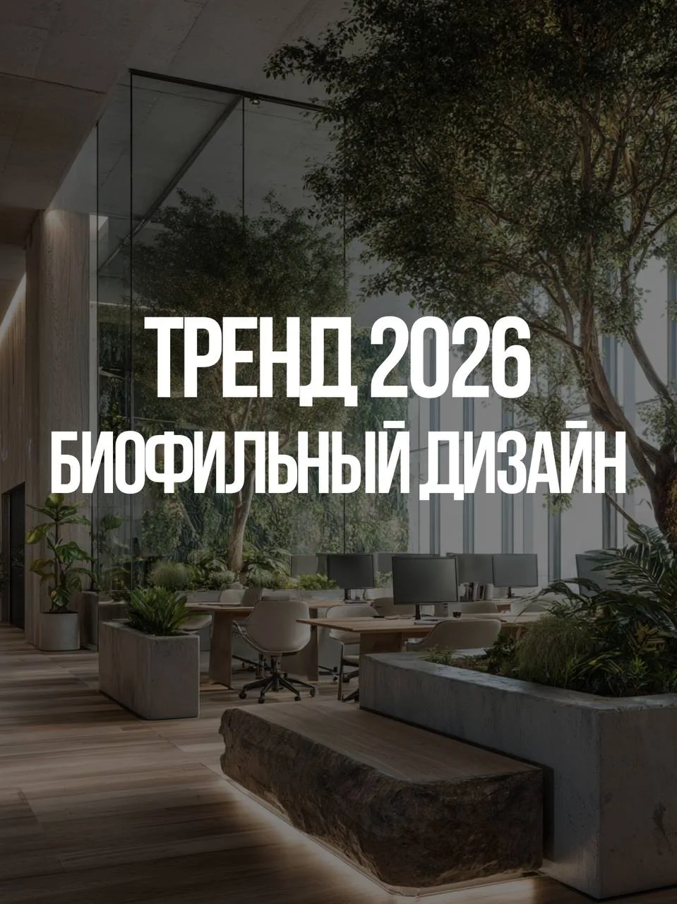 Тренд 2026 — биофильный дизайн 🌿