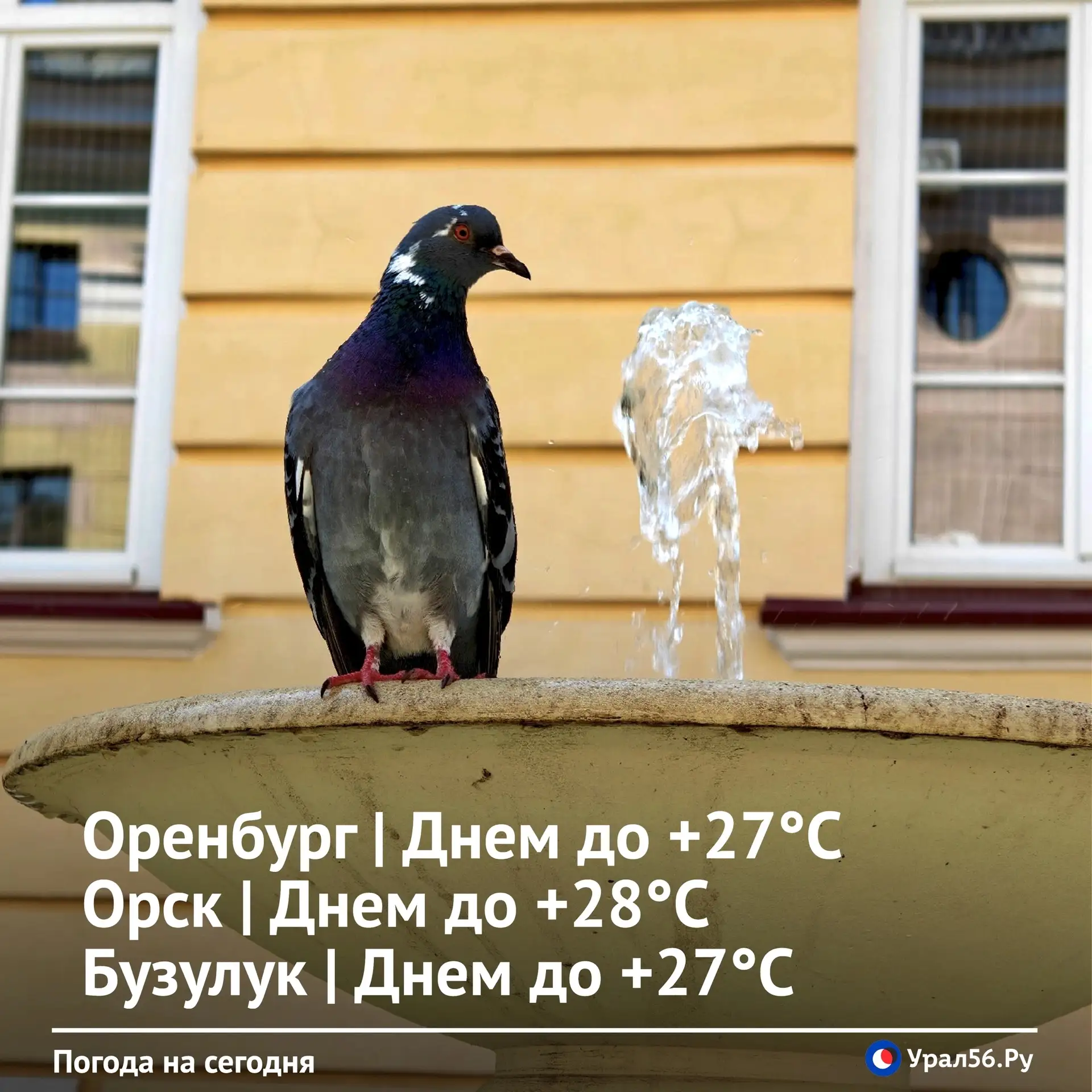 Доброе утро ☀️
