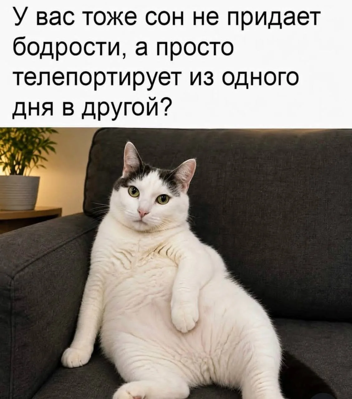 Понедельничное😁
