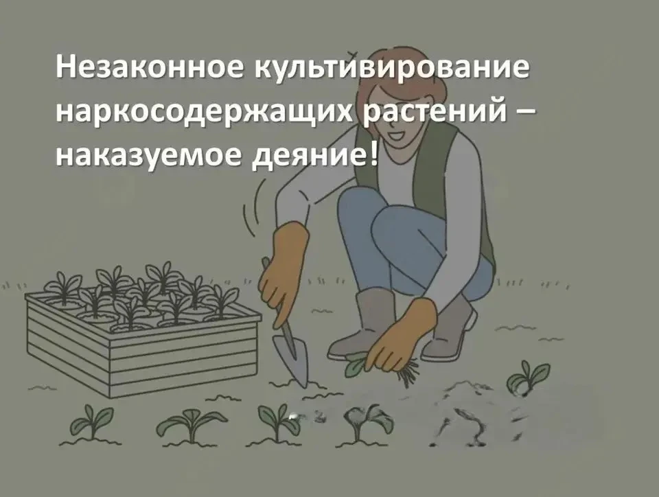 Уважаемые жители!