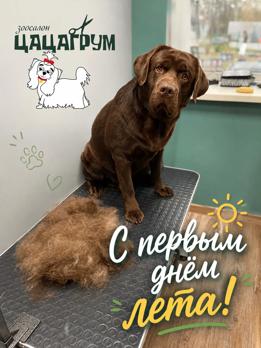Лето официально наступило! 🌞
