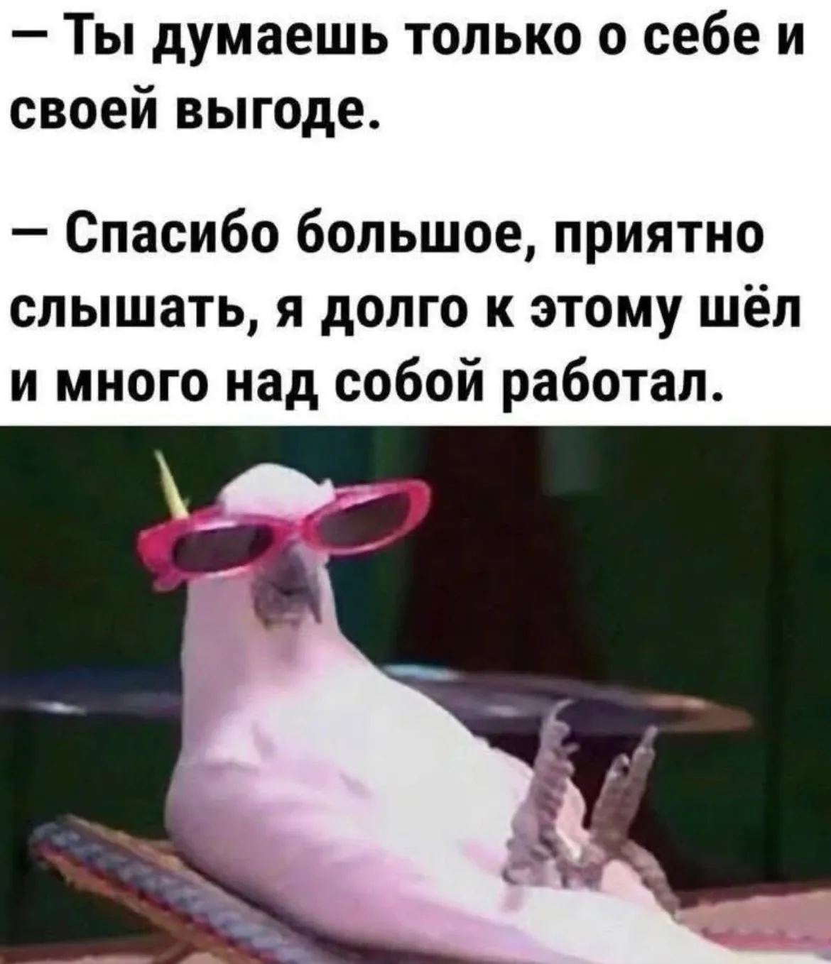 Когда оценили по достоинству😎