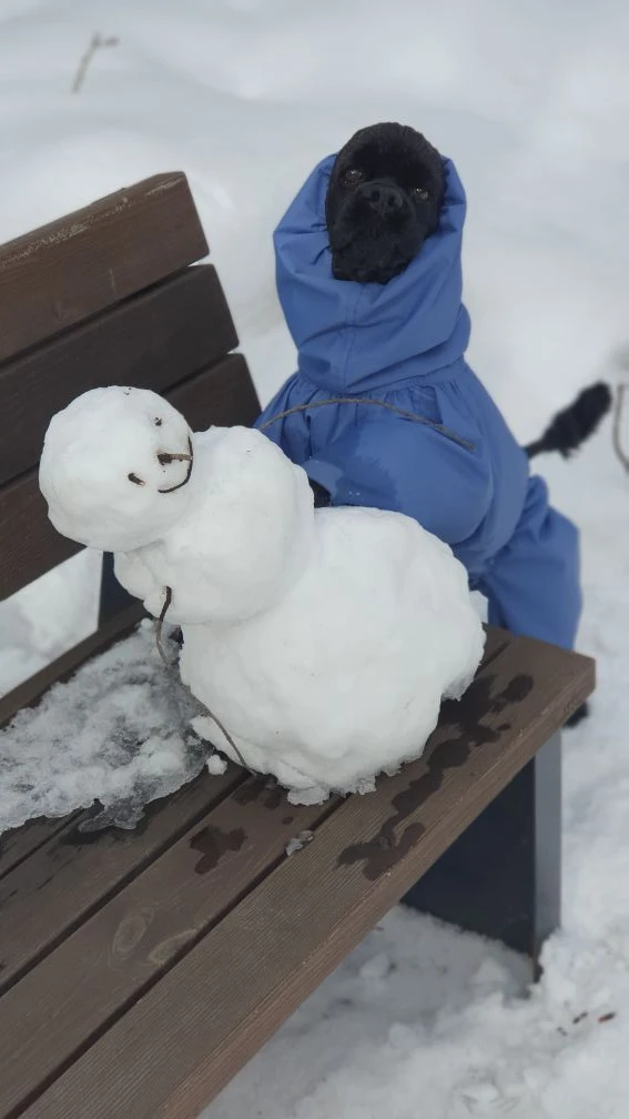 Когда мама попросила сделать фото со снеговиком, а ты понял это буквально. 😁