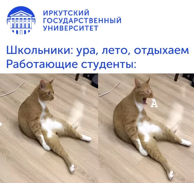 Когда лето ощущается по-разному… 😅