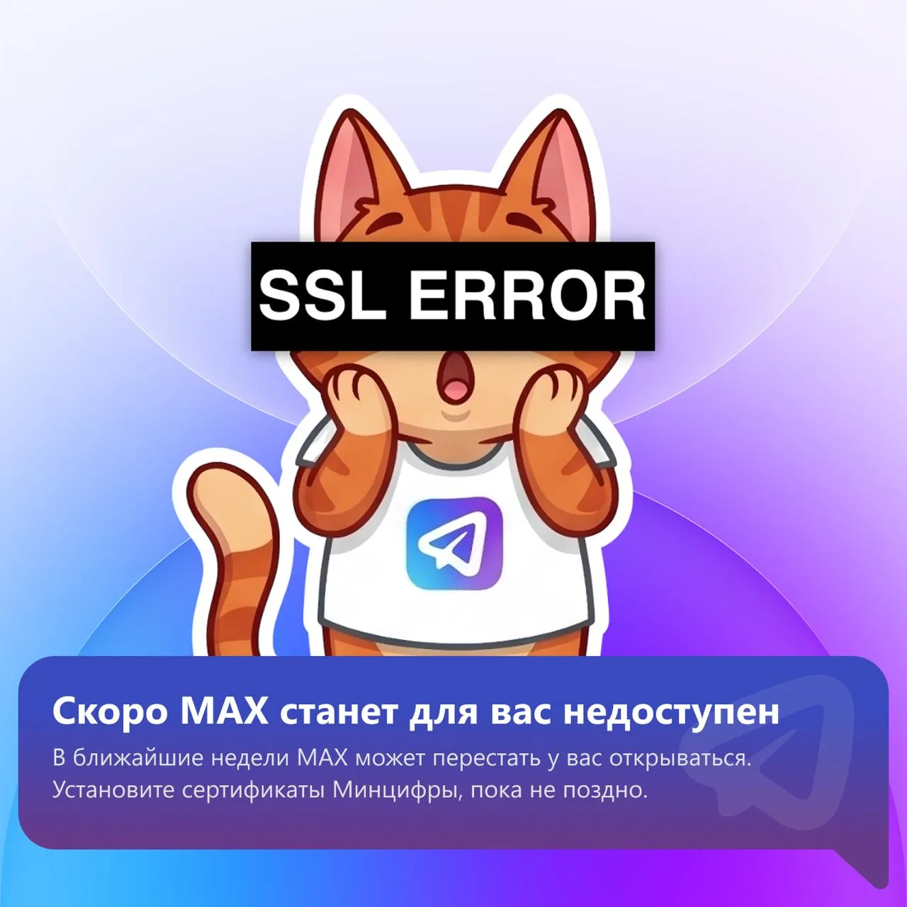 Мы уже рассказывали, почему стоит установить корневые и выпускающие сертификаты Минцифры. Тогда это 