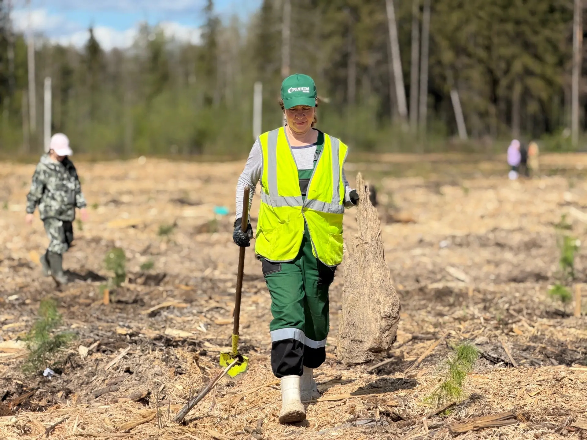 Это только начало большой работы!  🌲 Сегодня на территории Пуловского леса мы приступили к посадке с