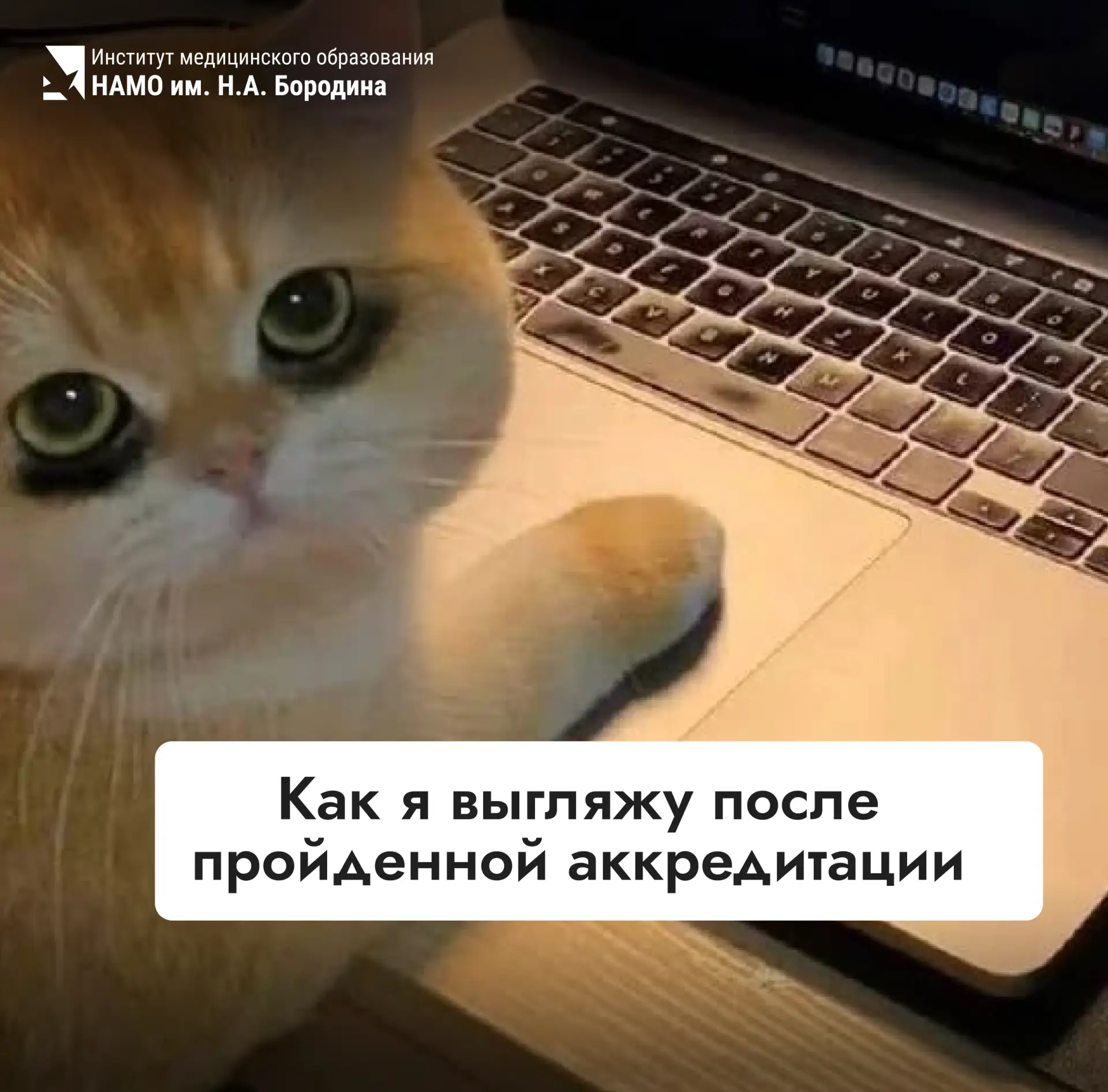 ❗️Опубликованы протоколы внепланового заседания ЦАК от 19.05