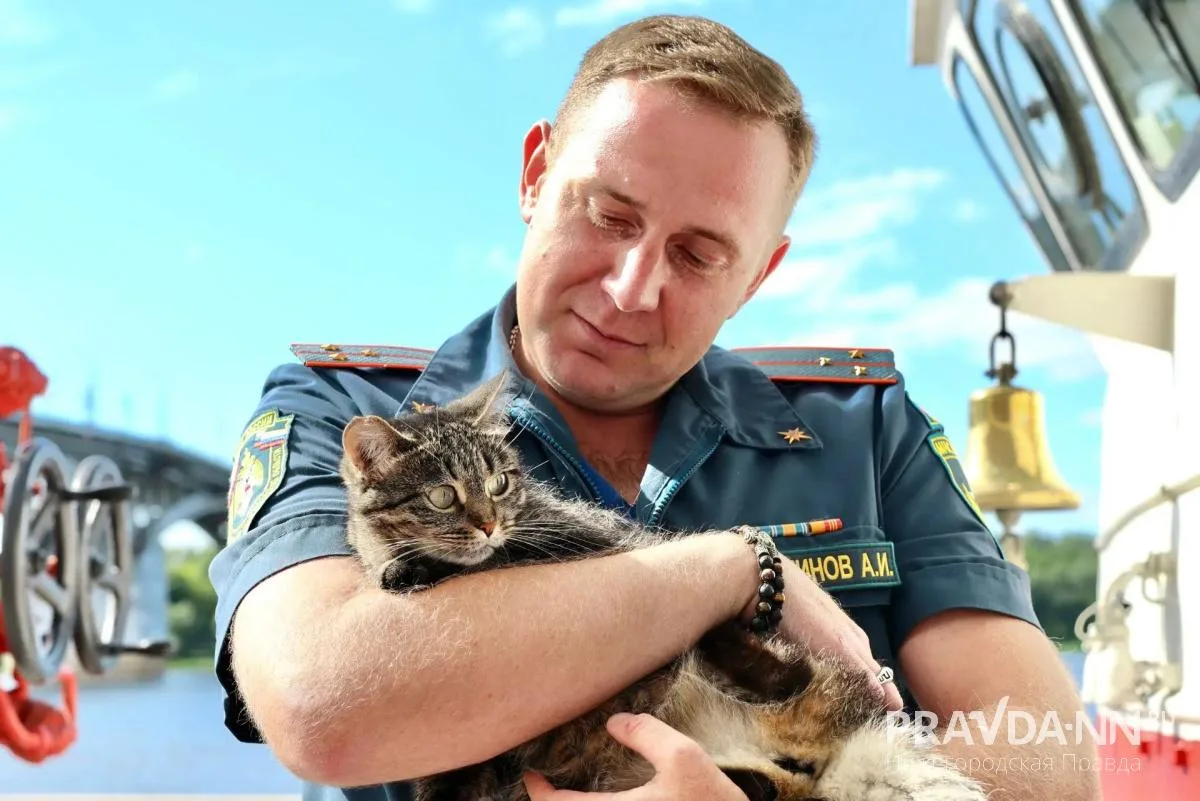 🧡 Ничего милее вы сегодня не увидите!