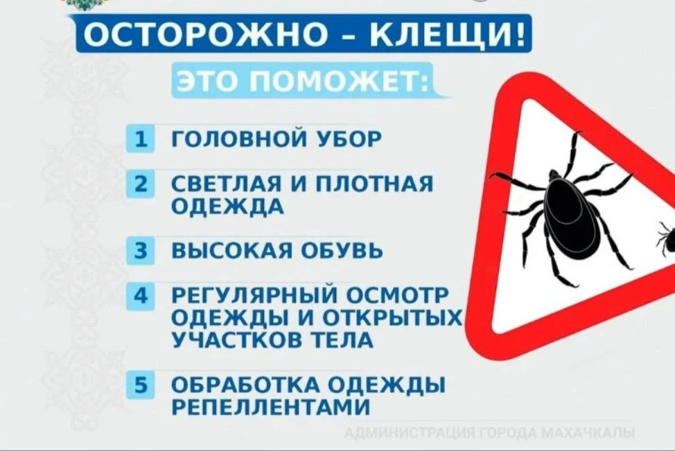￼Памятка о мероприятиях по профилактике укусов клещей. 

В связи с началом летнего массового отдыха 