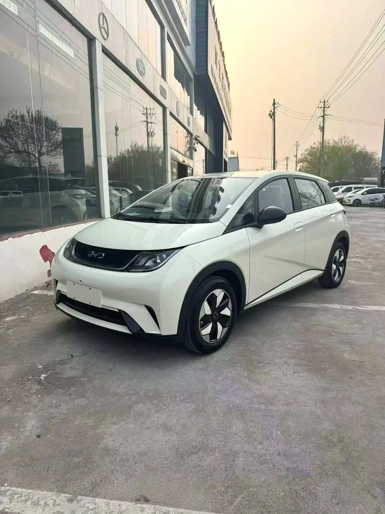 BYD 2025 Dolphin 420 км, Freedom Edition