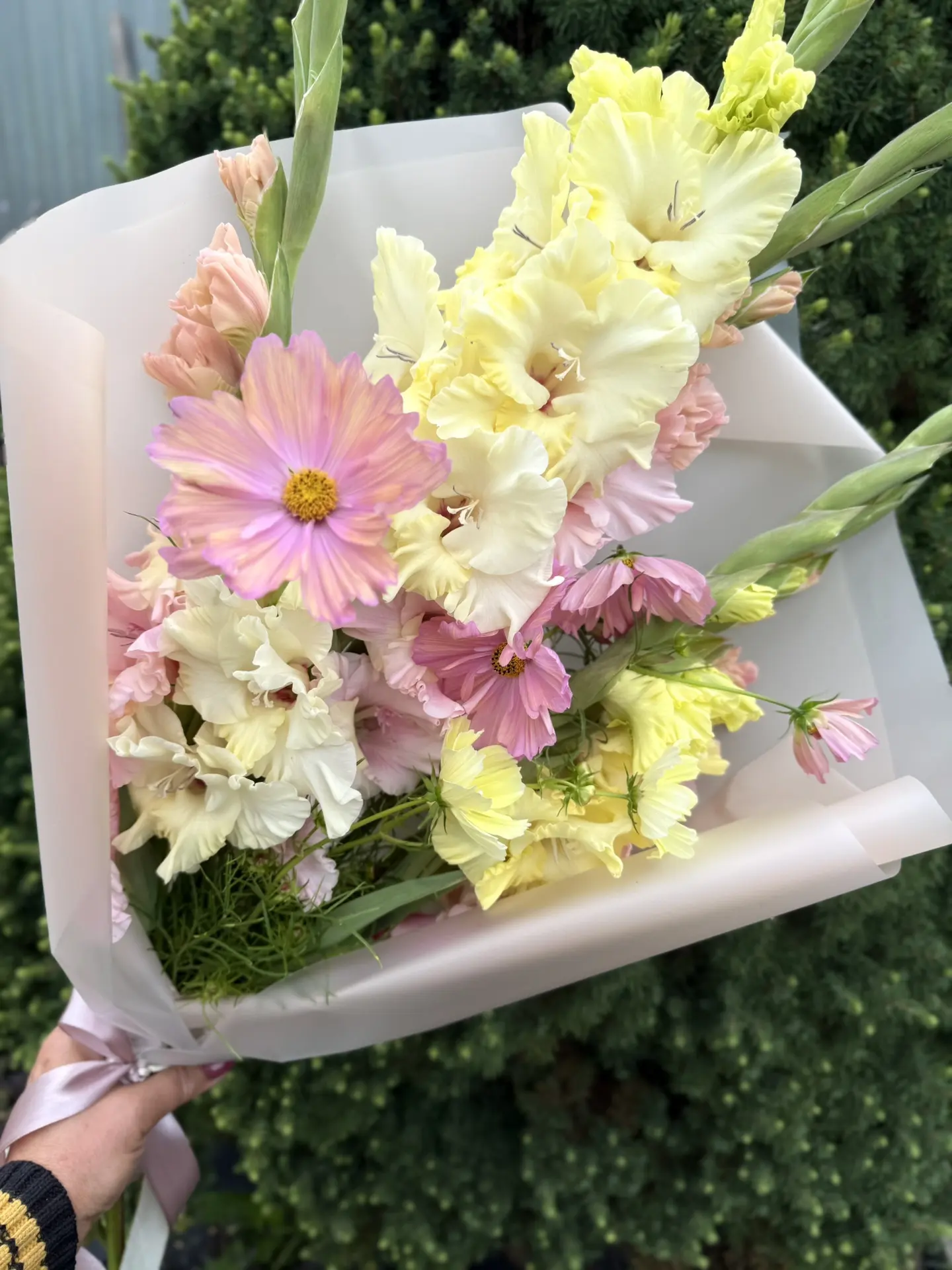Нежность в каждом лепестке 🌸