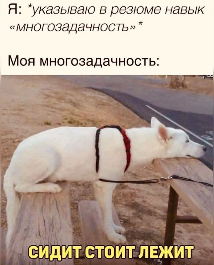 Почему многозадачность сжигает наш мозг?