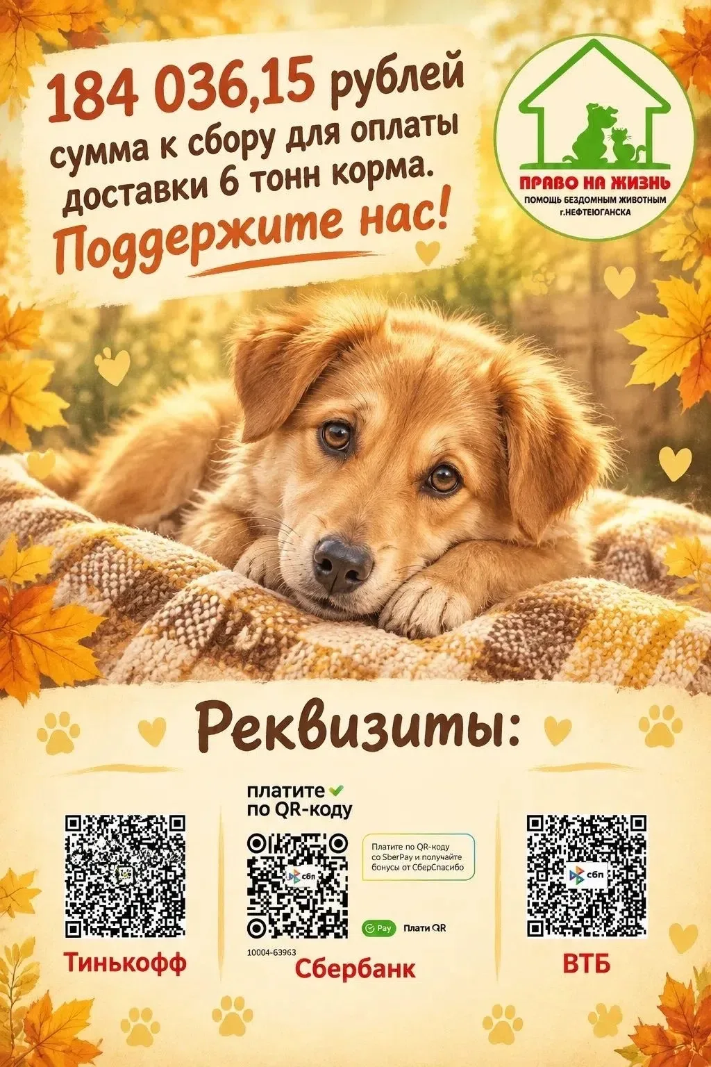 Друзья! У нас новость! Масштабная поддержка от благотворительного фонда «Ника» vk.ru/ou...