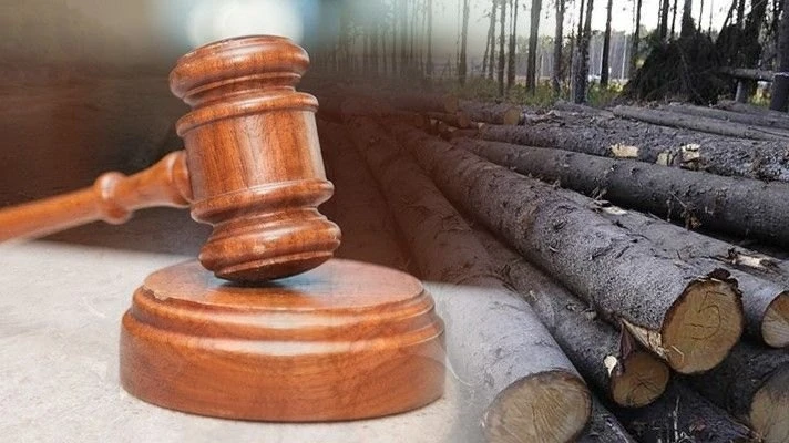 Житель Осташкова осужден за незаконную рубку леса

Вышневолоцкой межрайонной прокуратурой поддержано