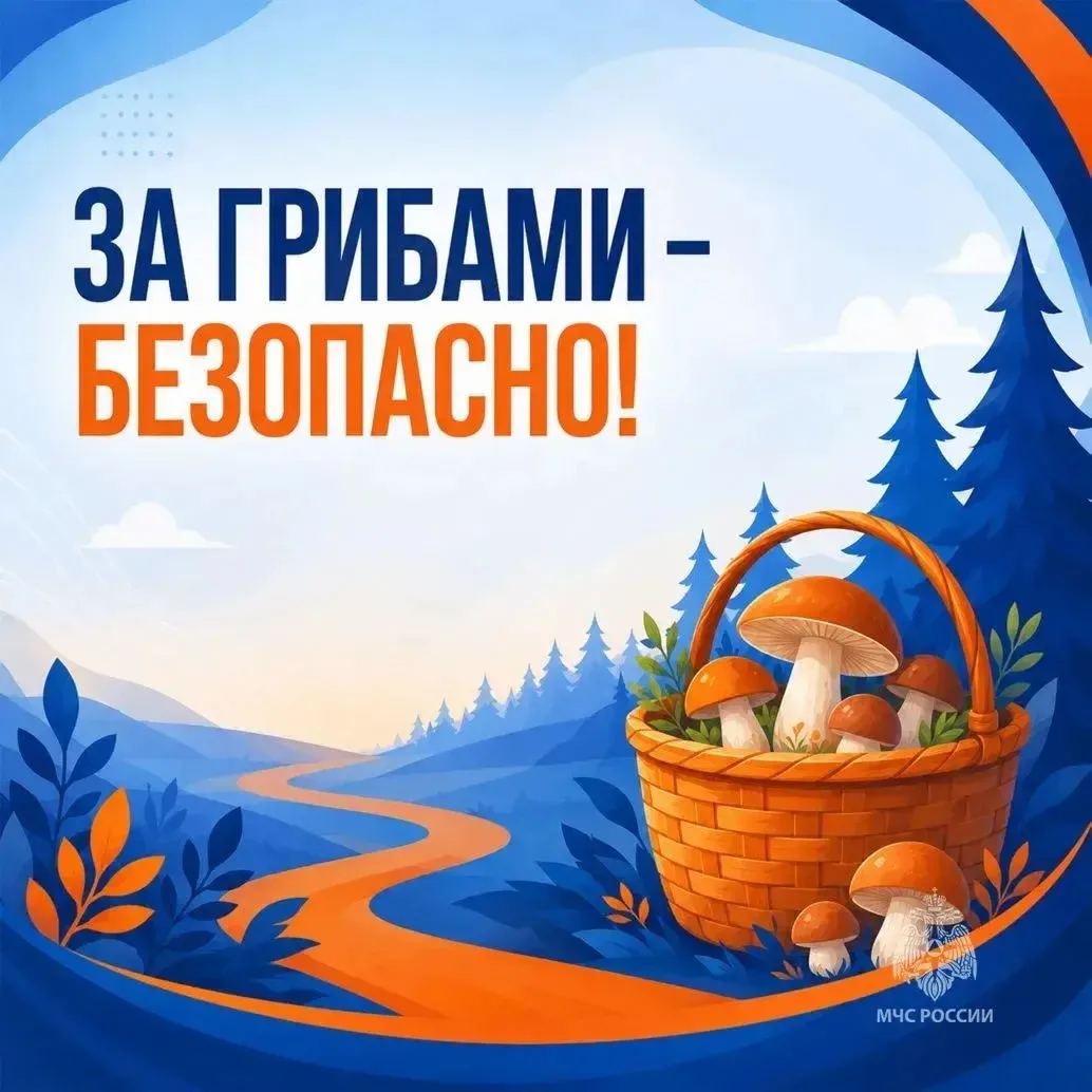 Важные моменты если ты в лесу ! Берегите себя и своих близких !