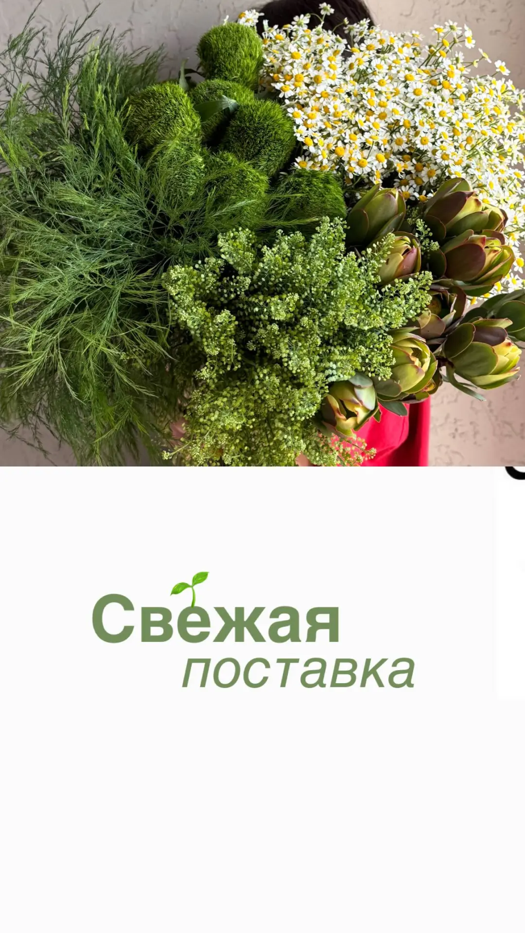 📍Комсомольская 49
