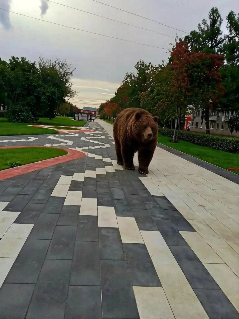 Привет, соседи! 👋