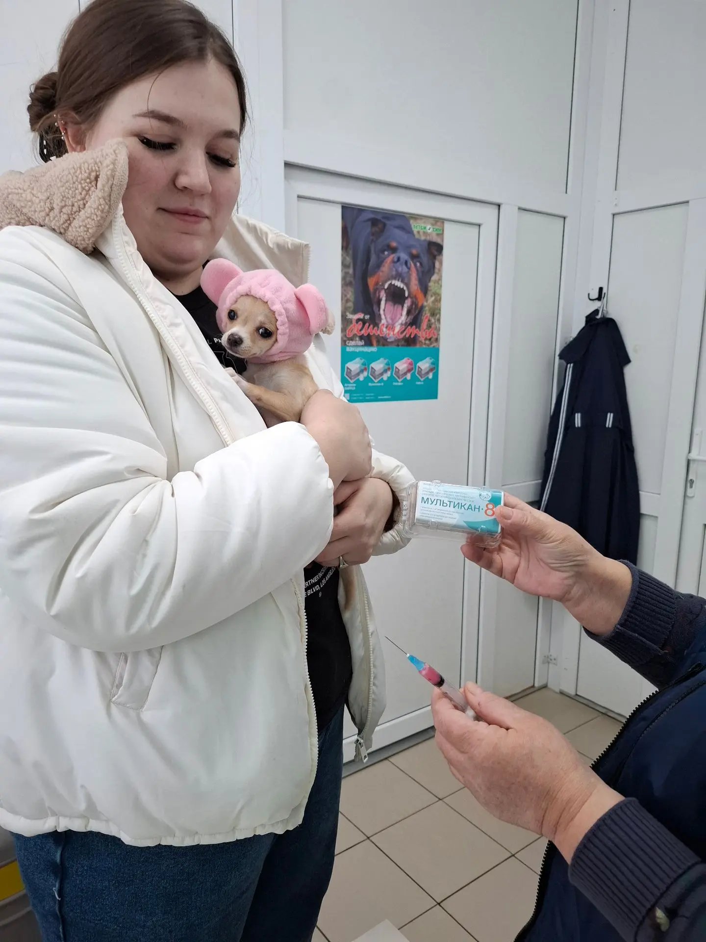 Схема вакцинации собак