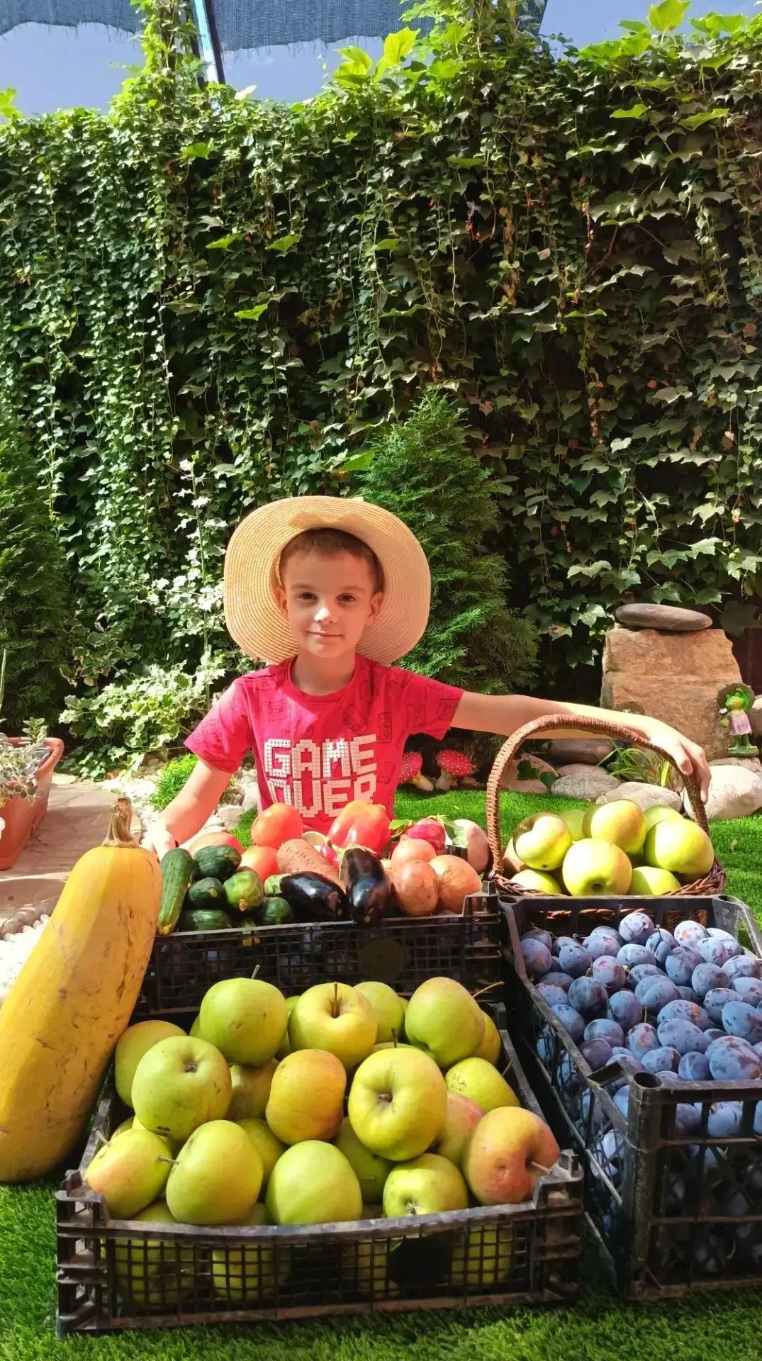 🏆 Никитенко Артём, 2 «А» класс — участник фотоконкурса «Мой гигантский урожай»! 🍅📸