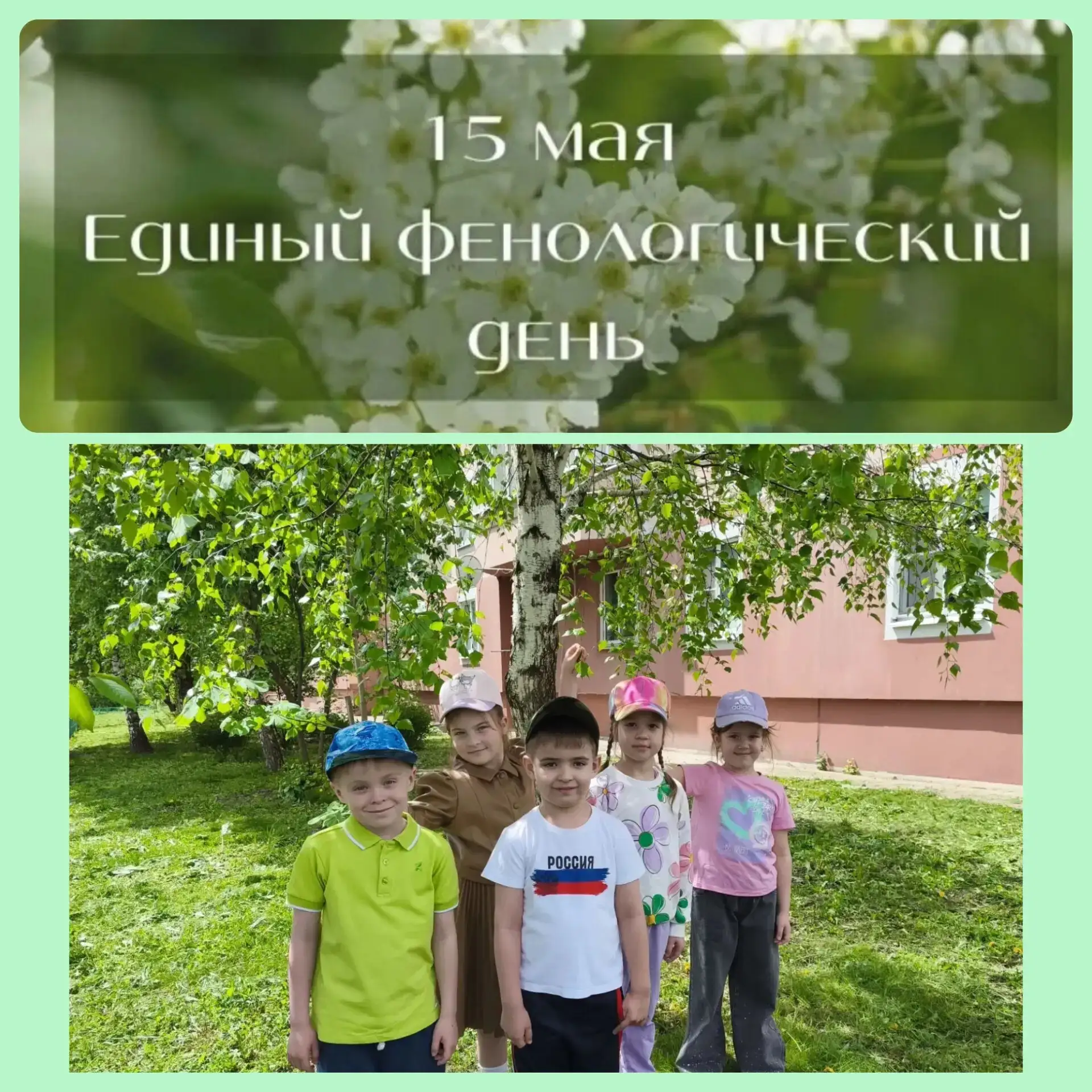 В рамках единого фенологического дня, воспитанники группы № 5 провели интересное наблюд...