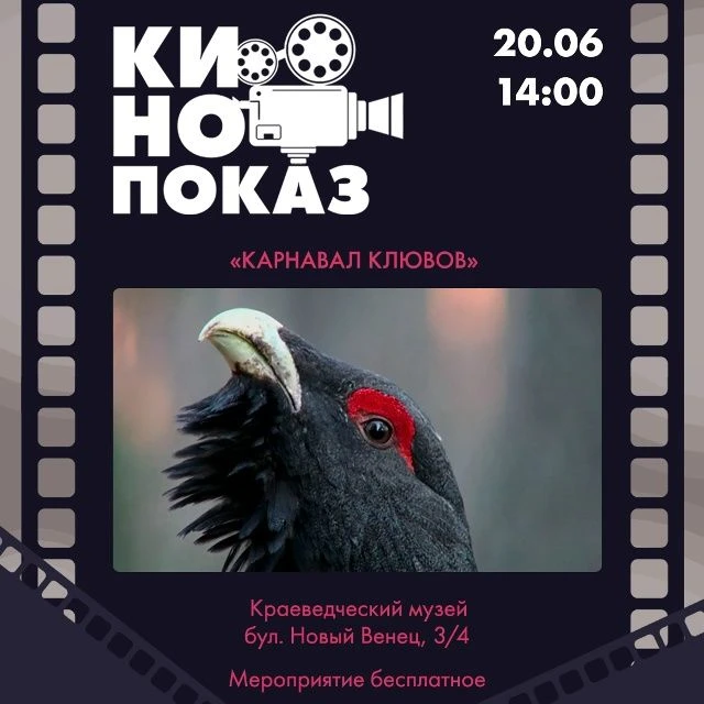 👁  20 июня в 14:00 Кинопоказ документального фильма «Карнавал клювов» https://ulpressa.ru/4Ji0p
 

