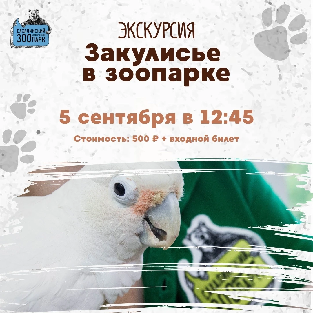 ⚡️ Друзья! Мы снова готовы проводить вас по закулисью нашего зоопарка. Вас ждёт увлекат...