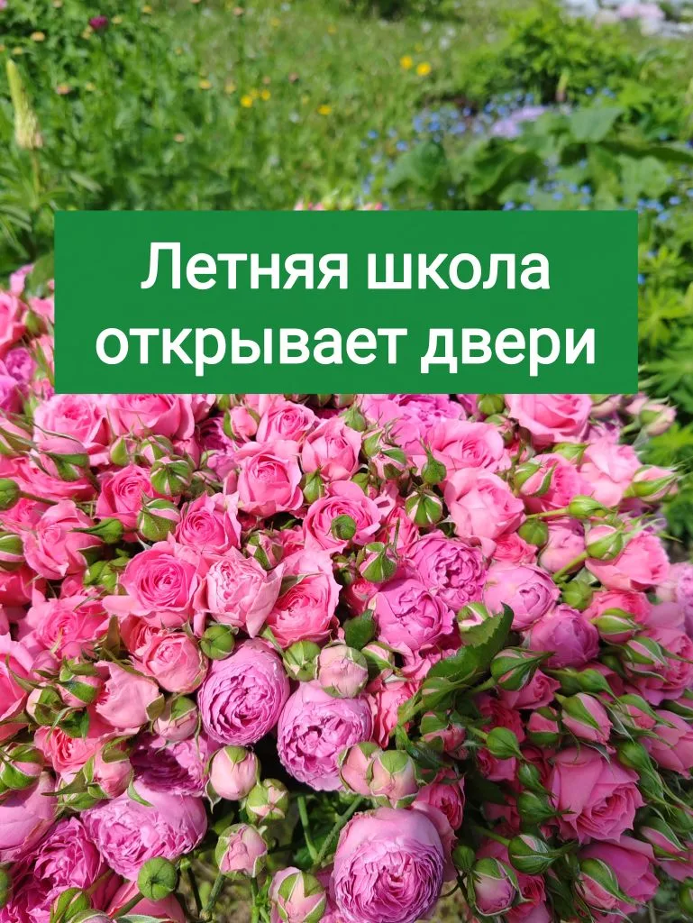 Лето - время отдыха или занятий?