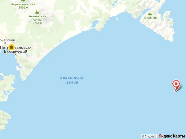 🌍 Землетрясение магнитудой 4,4 у Петропавловска-Камчатского