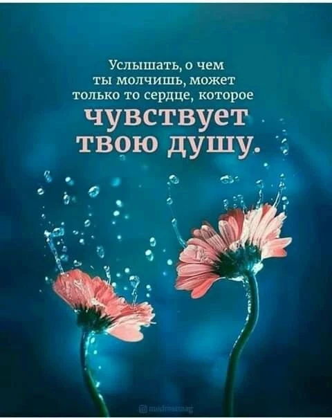 🌸🩵💙🌸🩵💙