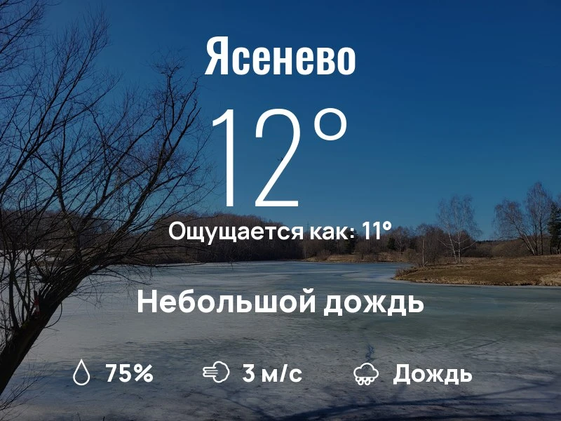 Какая погода в Ясенево?