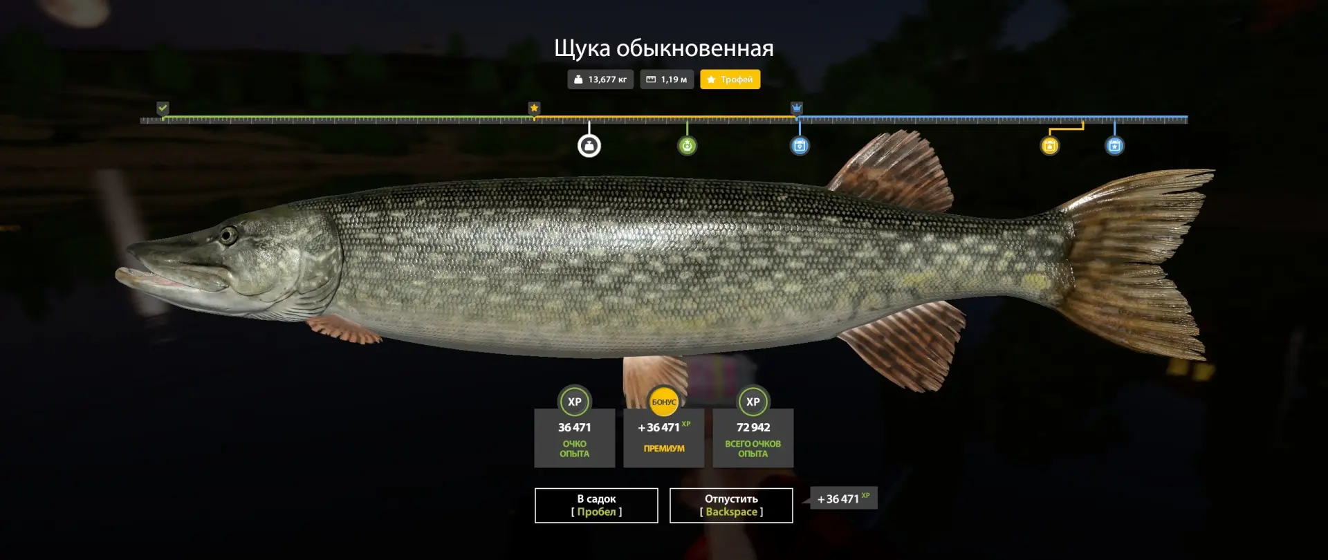 #сура