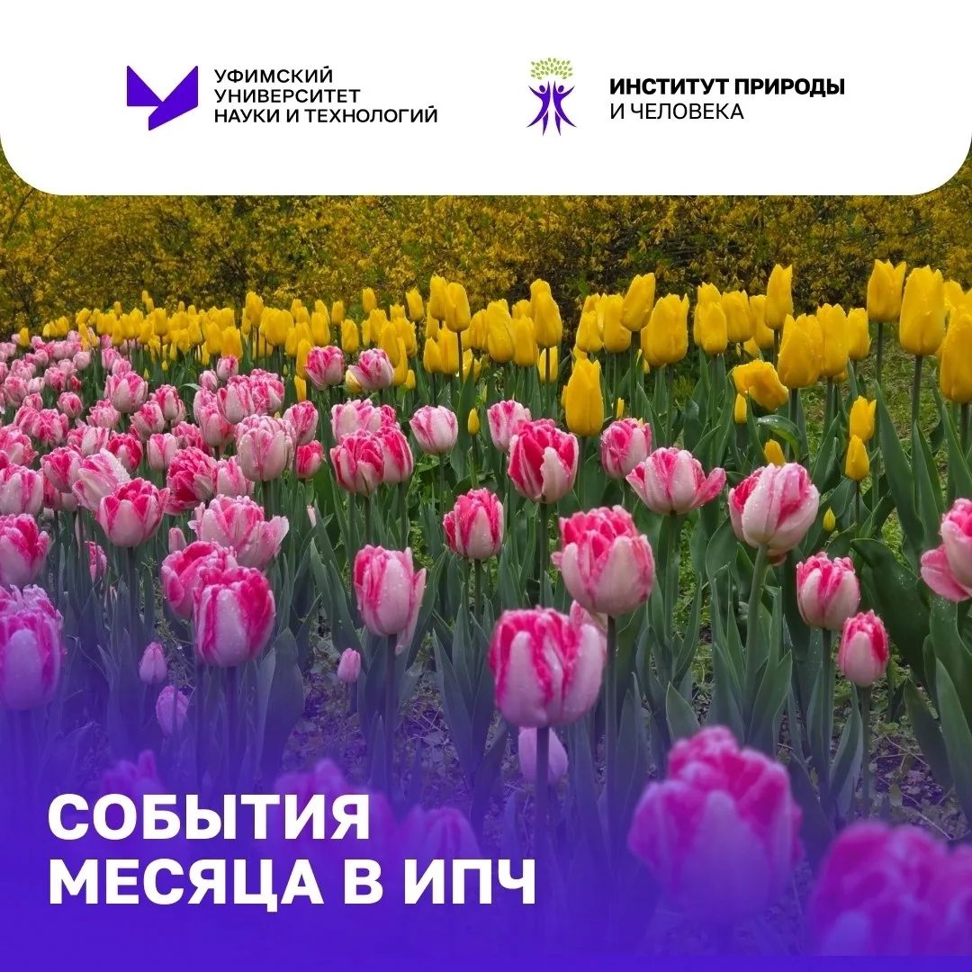 Дайджест новостей за месяц: самое интересное за май 🤩

✅️ +2000 новых деревьев в лесной фонд Башкор