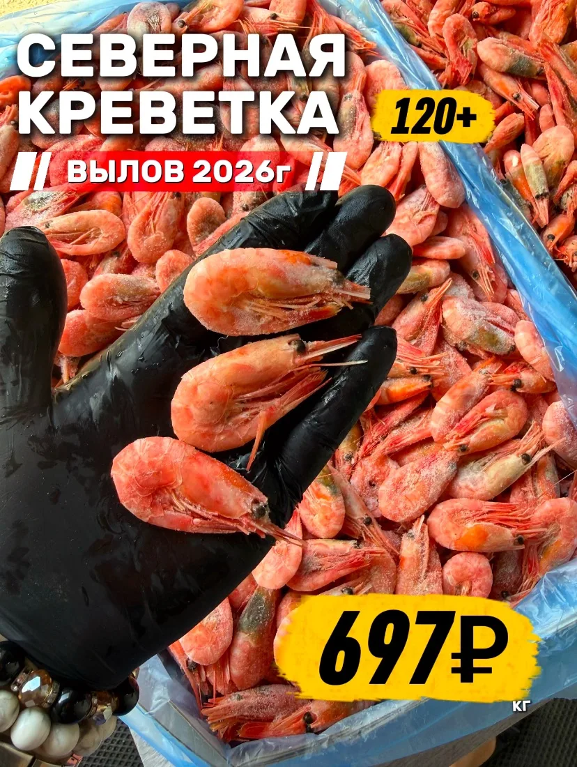 🦐🔥 КРЕВЕТКИ РАЗБИРАЮТ!