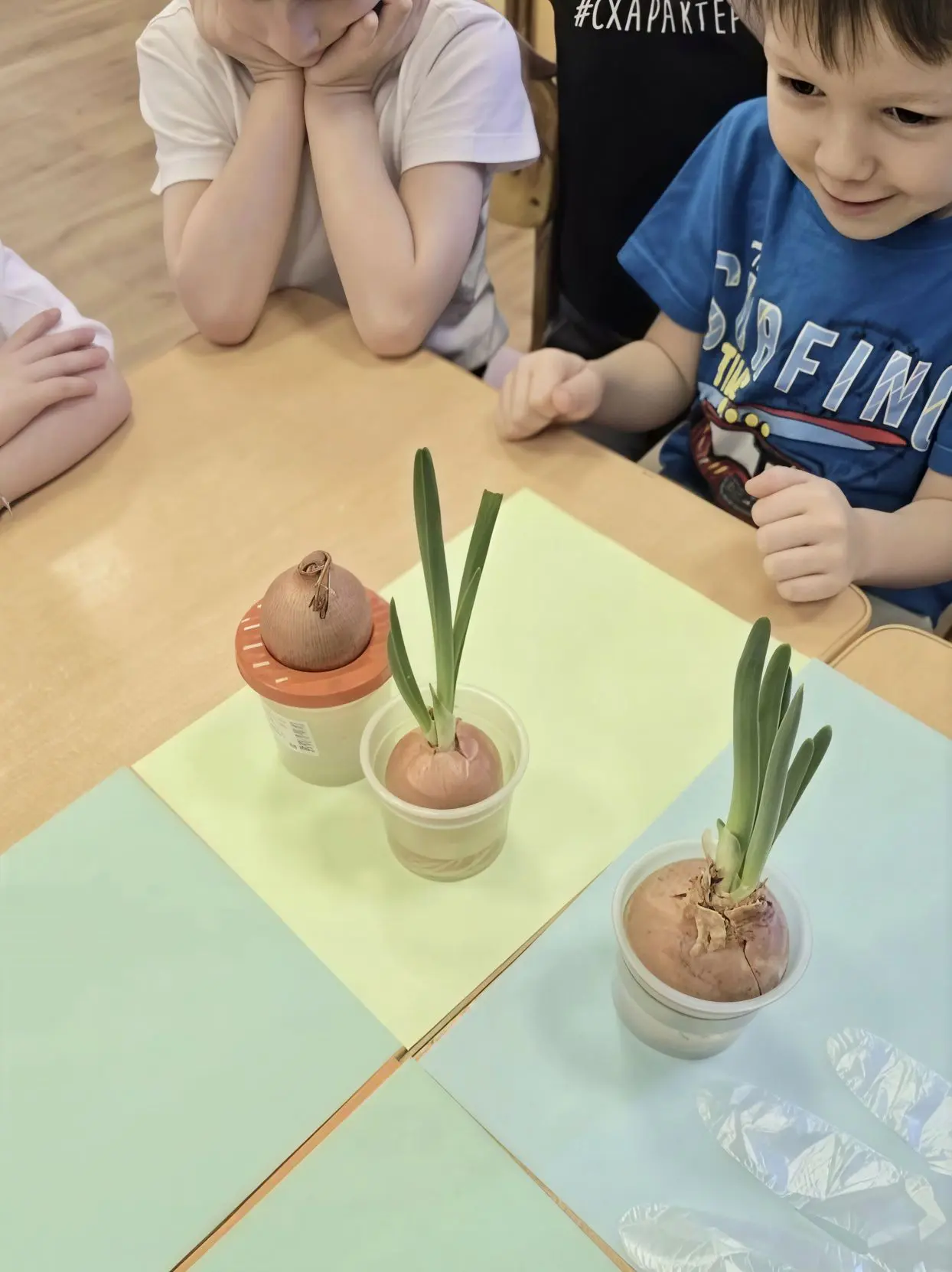 Первый урожай! 🌱  🏡 Наши воспитанники из старшей группы "Умники" открыли "дачный сезон", не выходя и