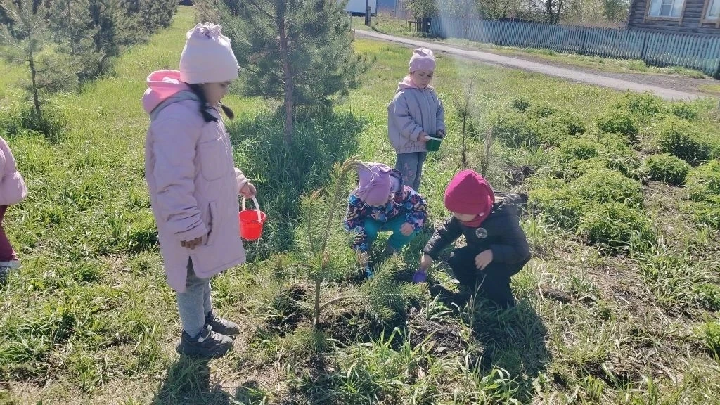 🌲Экологическая акция🌲