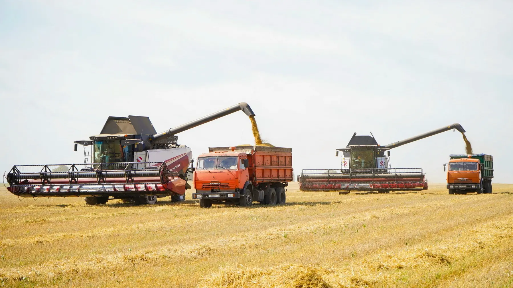 🌾 В Ивановской области набирает обороты уборочная кампания
