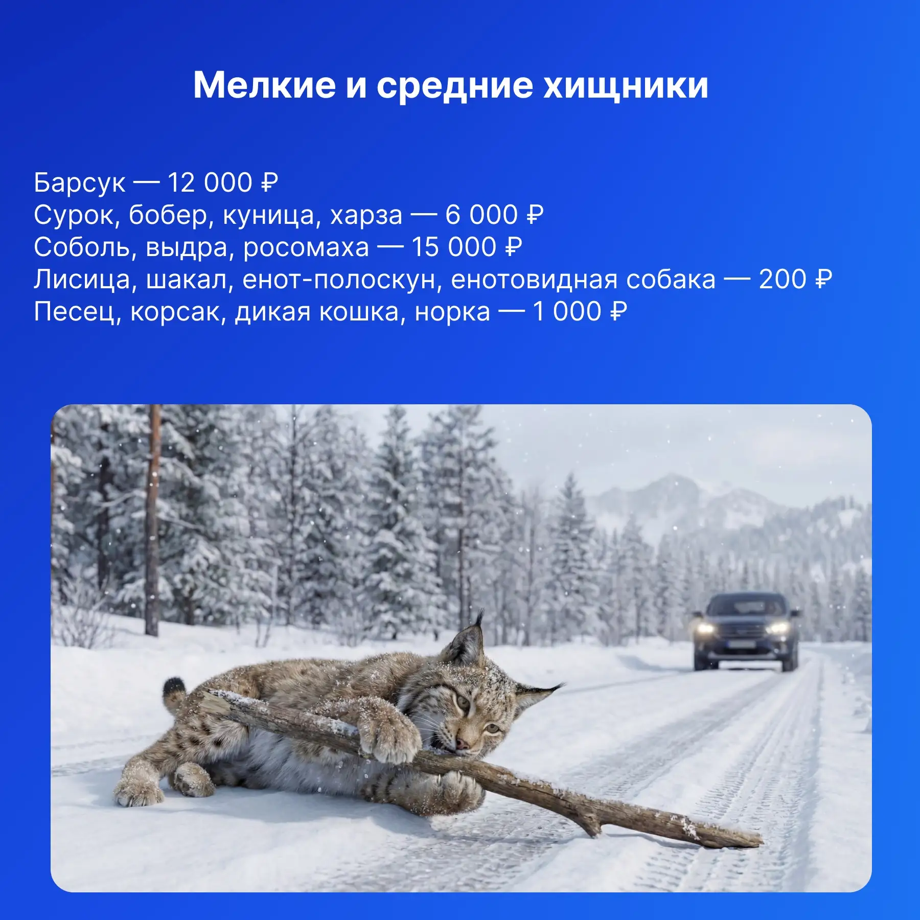 Даже аккуратный водитель может попасть в неприятную ситуацию на дороге.   Мы уже делились случаями п