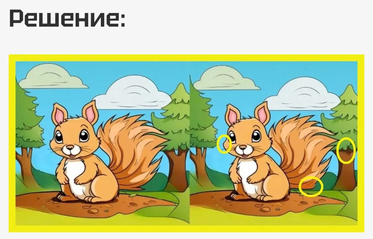 🤓 правильный ответ