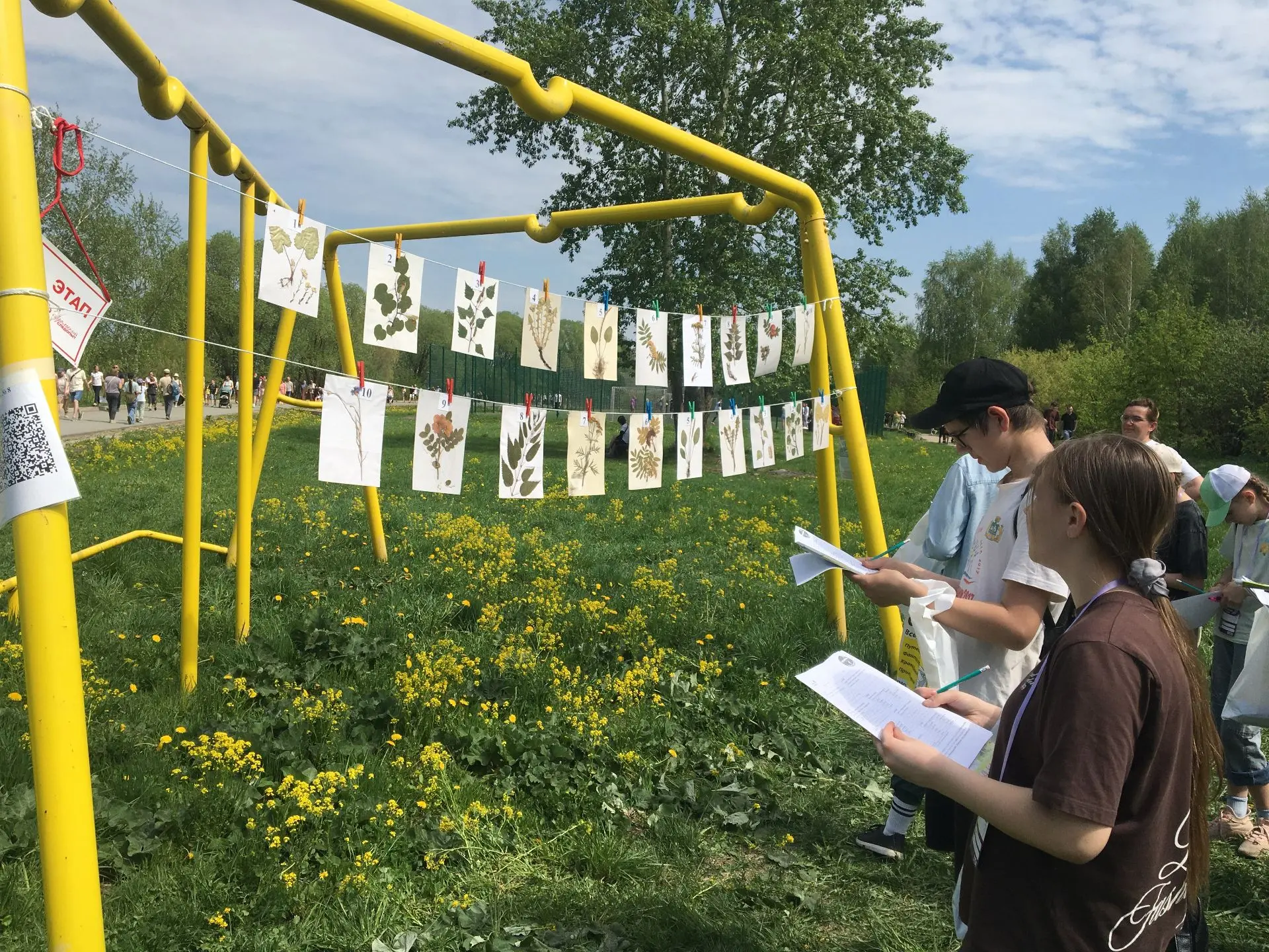 🌿 Экологическая акция «Леса Первых. Деревья дружбы» 🌿  Сегодня был по-настоящему особенный день: ком