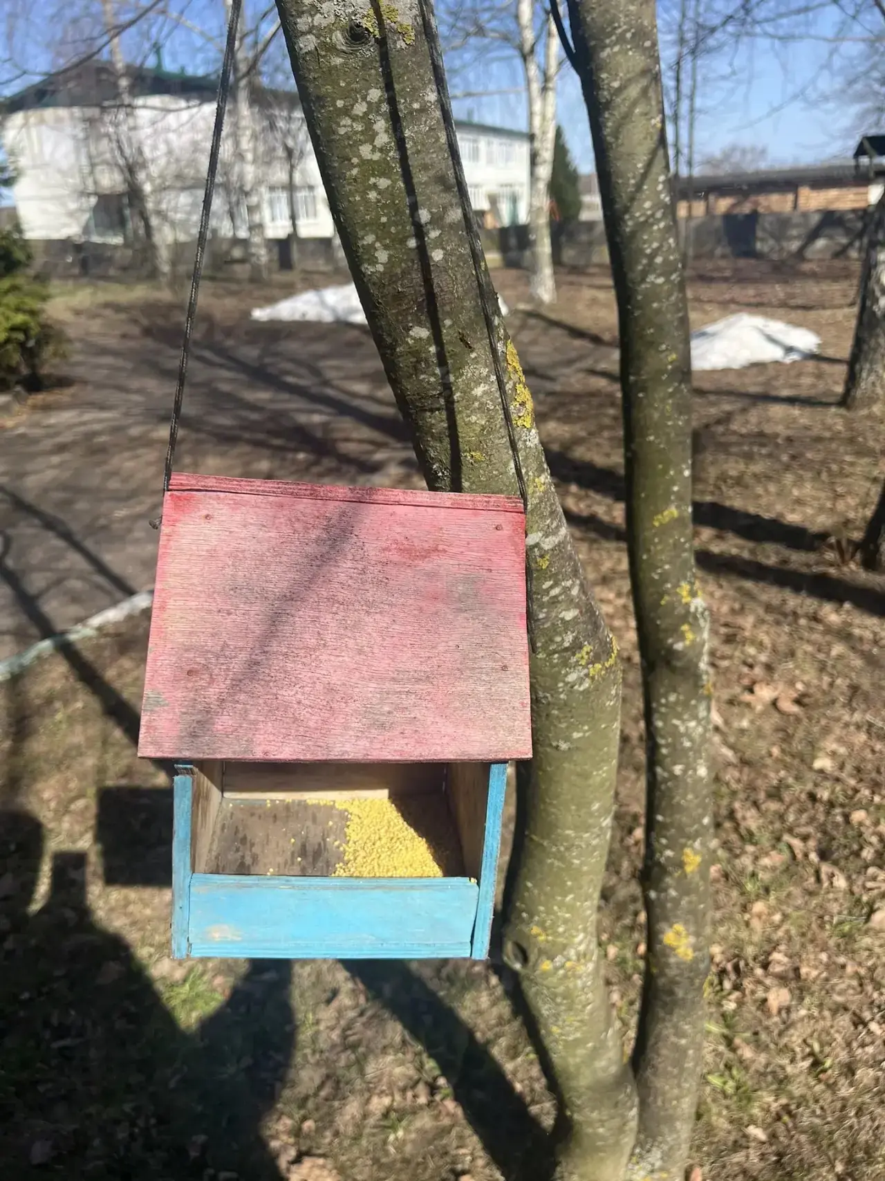 🌱✨ В рамках трека «Орлёнок-Эколог» наши юные защитники природы из третьего класса прин...